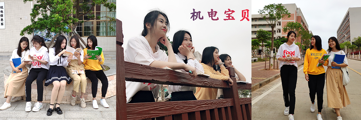 机电宝贝